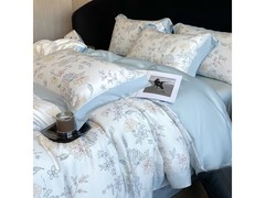 Erwin Rommel天丝四件套到手仅199元