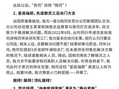 乐视再揭中电熊猫违约黑幕