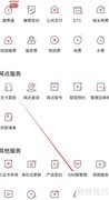 丰收互联SIM盾管理查看指南