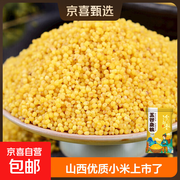 山西特产油小米！250g仅7.1元，当季新米别错过