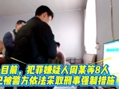 上海警方联手对战平台破获特大游戏外挂案，抓获8人涉案200万元