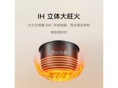 米家 3L 电饭煲，京东到手价 251.68 元