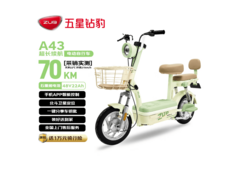 五星钻豹长续航电动自行车