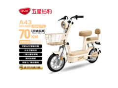 五星钻豹A43新国标长续航电动自行车