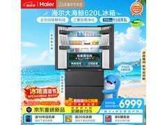 海尔大海鲸620L法式冰箱