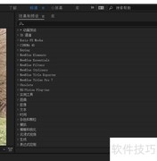 mocha 2020激活使用指南