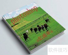 PS零基础快速入门