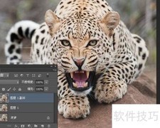 PS合成抽象猎豹技巧