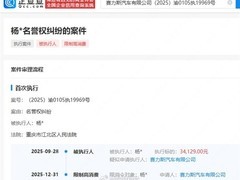 赛力斯诉杨某侵权案进展：因未履约被限高消费