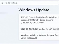 微软更新致DRM内容播放异常