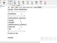 Navicat操作MySQL命令行指南