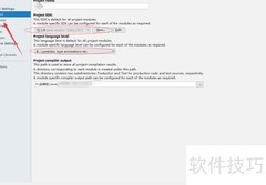 Java项目JDK版本异常解决