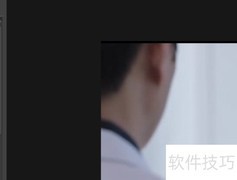 BB FlashBack插入文本教程