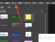BB FlashBack插入文本教程