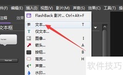 BB FlashBack插入文本教程