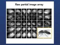 韩国团队受捻翅虫启发研制0.94mm厚140°广角SOEMLA相机