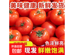 山东沙瓤番茄带箱2斤小果，1.8斤仅6.37元！