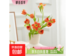 云南直发随机色郁金香10枝，满减后仅9.9元！