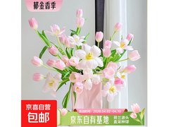 云南直发20枝随机色郁金香，用券后17.9元超划算