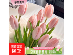 源头直发！10枝樱花粉郁金香，满减后仅16.9元