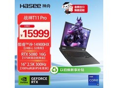 神舟战神T11 Pro游戏本，优惠价低至14389元
