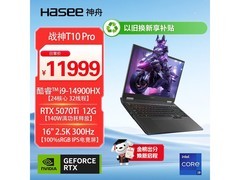 神舟战神T10 Pro游戏本低至10039元