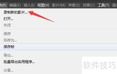 BB FlashBack区域录制记忆功能