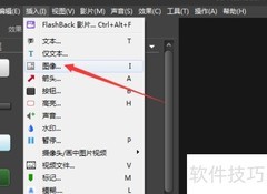 BB FlashBack视频图像Alpha存储