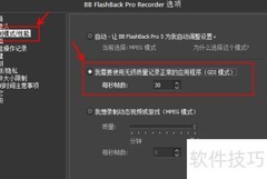BB FlashBack屏幕录制设置技巧