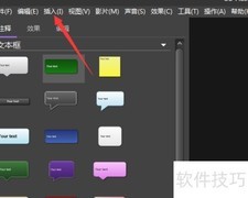 BB FlashBack视频图像透明预览