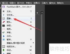 BB FlashBack视频图像透明预览