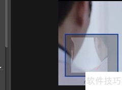 BB FlashBack视频垂直翻转教程