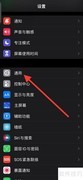 关闭iPhone智能标点方法