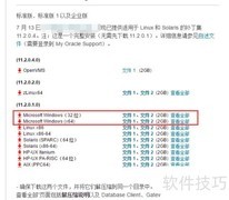 Oracle11g服务端安装指南