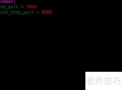 frp服务端配置指南