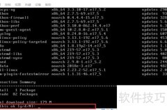 Linux安装ASP.NET Core指南