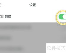 Papago实时翻译功能详解