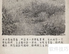 荒岛求生陷阱无法设置