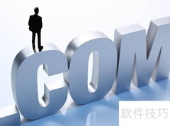 机构名:com含义解析