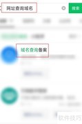 网址查域名：一键解析