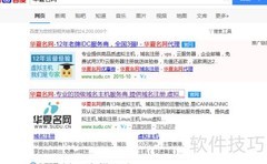 域名查询指南