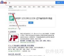 域名IP查询