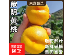 山东蒙阴黄桃蜜油桃5斤整箱批发，仅19.89元！