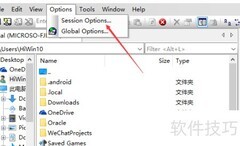 SecureFX原始日志设置方法