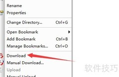 SecureFX下载Linux文件教程