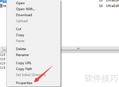 SecureFX修改Linux文件权限