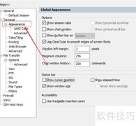 SecureFX关闭窗口大小显示