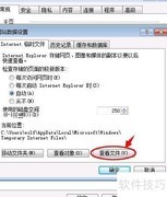 查看IE临时文件方法