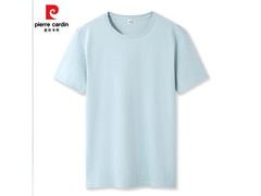 皮尔·卡丹男士夏装T恤24.9元
