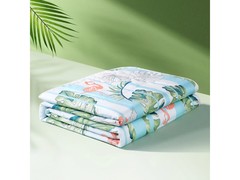 富安娜圣之花空调被促销，到手仅69元